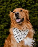 Bandana