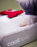 <strong>cool</strong>bedz