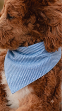 Bandana