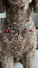 Charm Detaylı Zincir Köpek Kolyesi