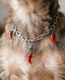 Charm Detaylı Zincir Köpek Kolyesi