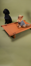 <p>Köpeğiniz için <em>tasarlandı</em>.</p>